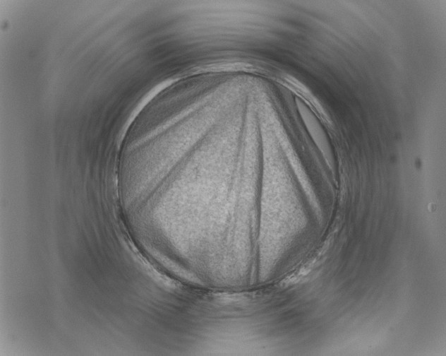 X0000076310852200610161617