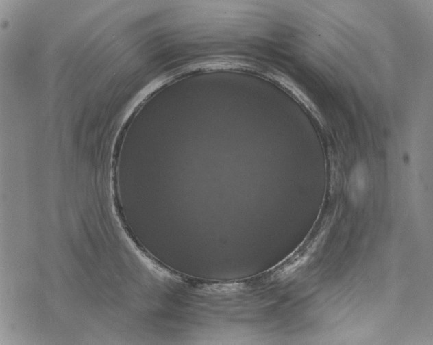 X0000076310853200610161617