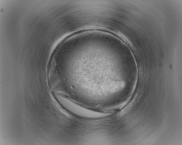 X0000076310854200610161617