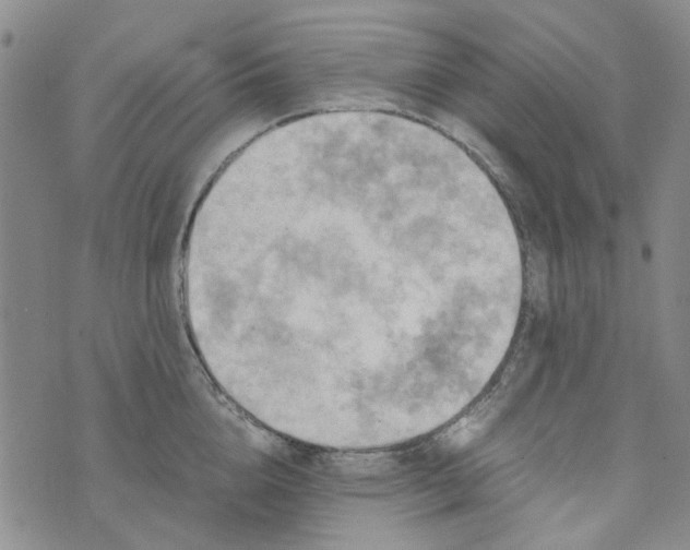 X0000076310856200610161617