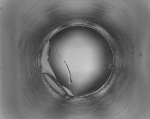 X0000076310857200610161617