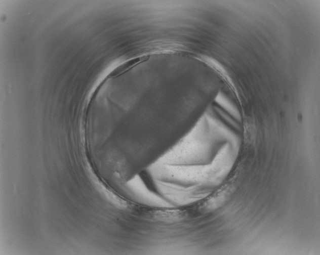 X0000076310859200610161617