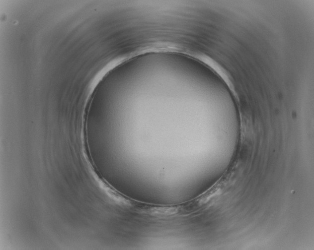 X0000076310861200610161617