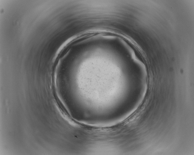 X0000076310862200610161617