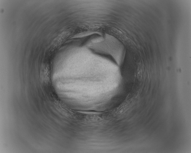 X0000076310866200610161616