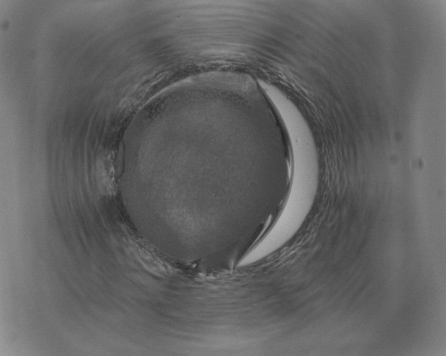 X0000076310868200610161616