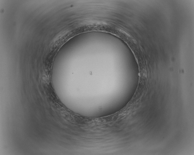 X0000076310869200610161616