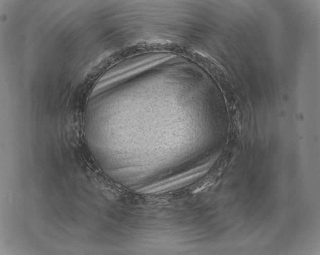 X0000076310870200610161616