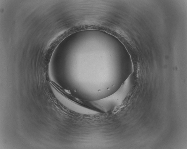 X0000076310872200610161616