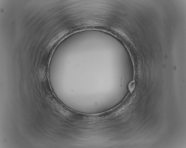 X0000076310873200610161616