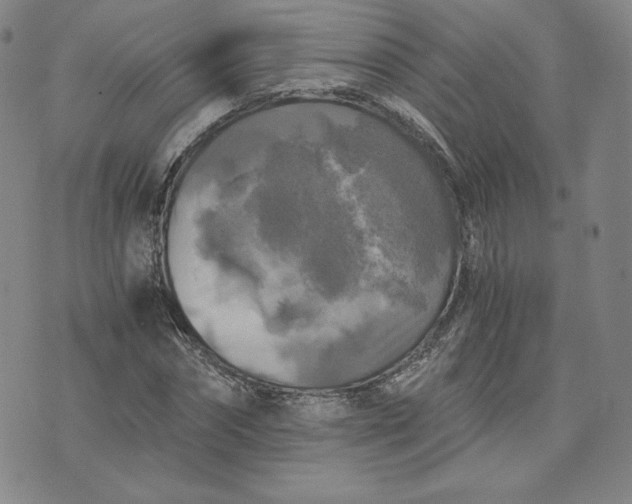 X0000076310874200610161616