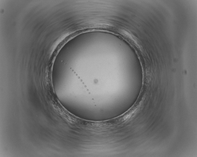 X0000076310875200610161616