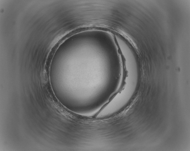 X0000076310876200610161616