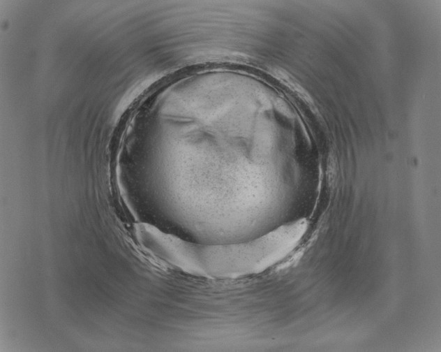 X0000076310877200610161616