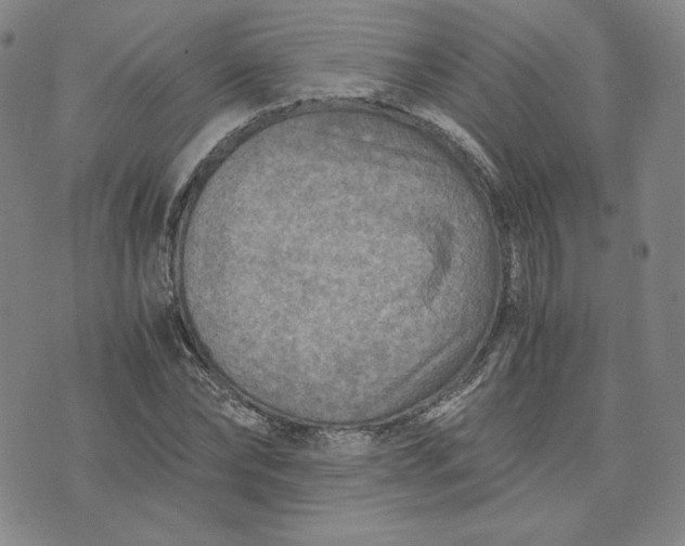 X0000076310878200610161616