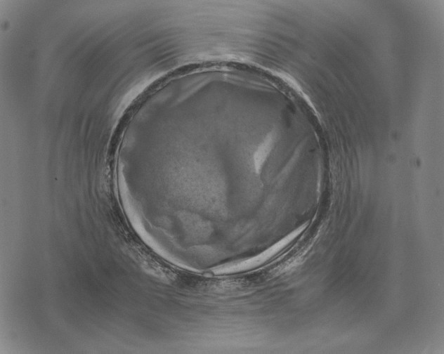 X0000076310879200610161616