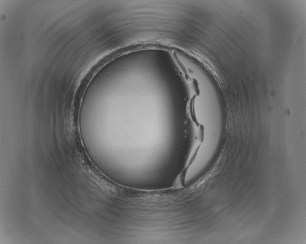 X0000076310880200610161616