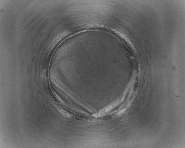 X0000076310881200610161616