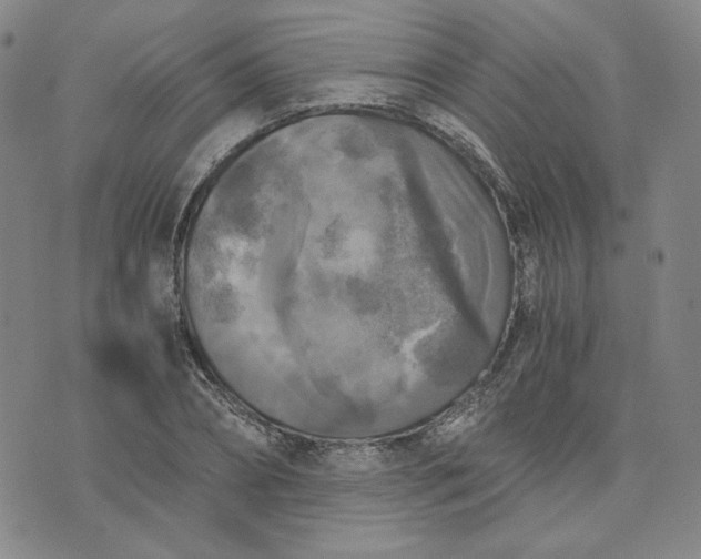 X0000076310882200610161616