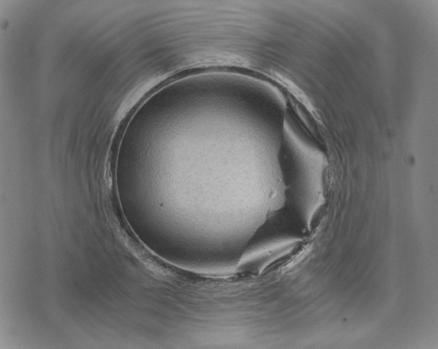 X0000076310885200610161616