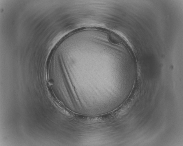 X0000076310887200610161616