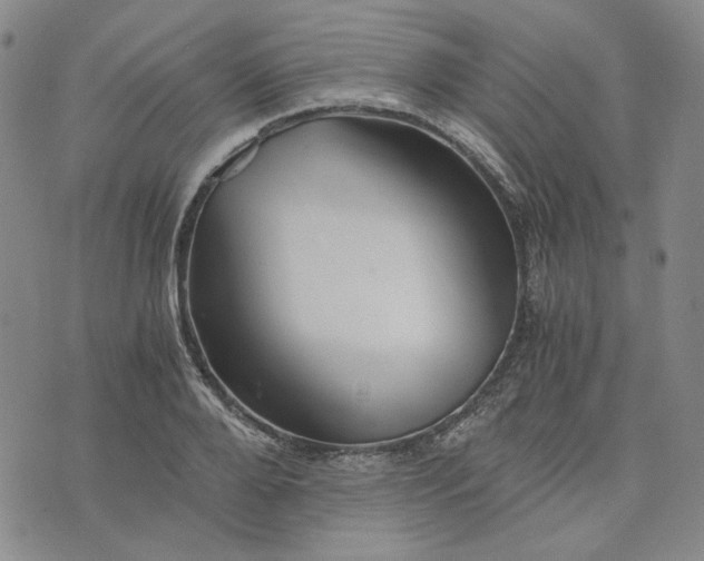 X0000076310888200610161616