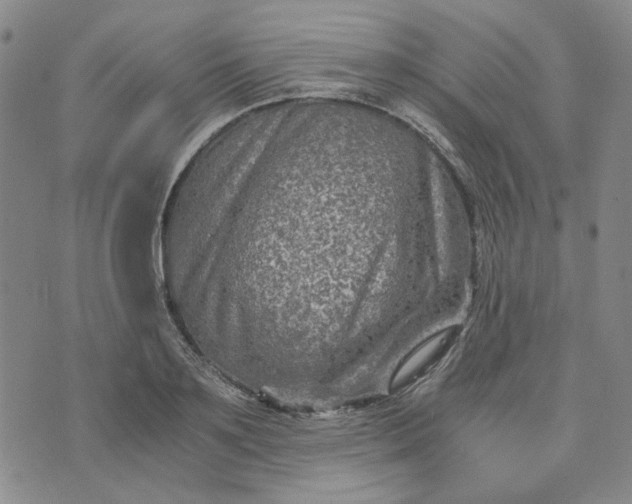 X0000076310891200610161616