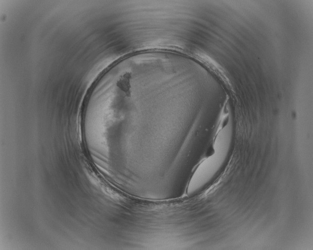 X0000076310892200610161616