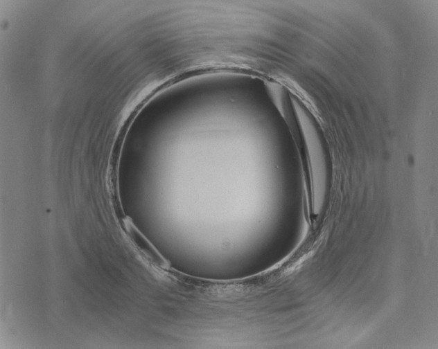 X0000076310893200610161616