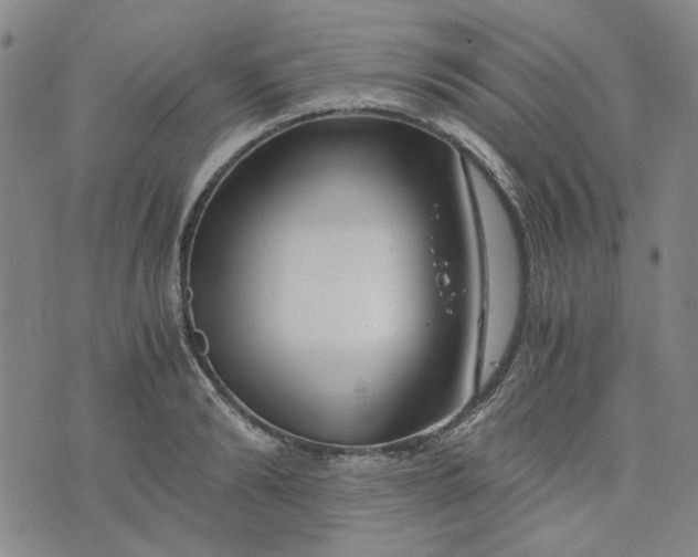 X0000076310894200610161616