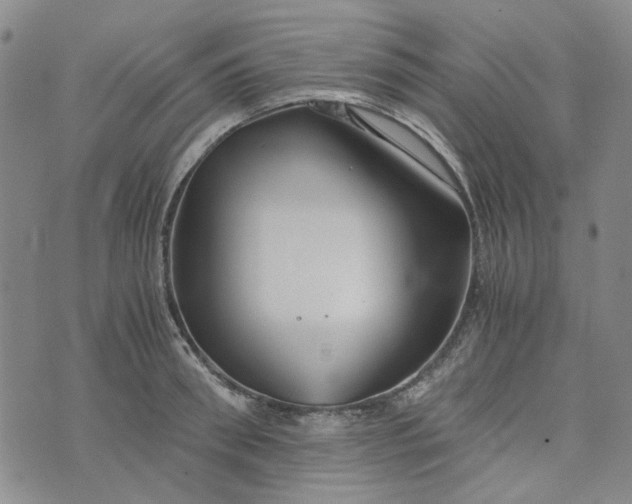 X0000076310898200610161616