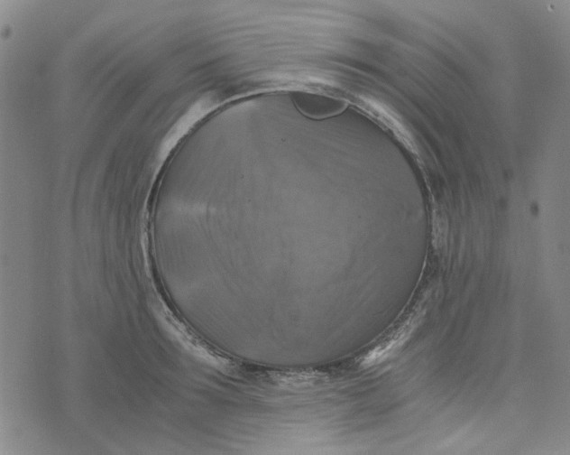 X0000076310899200610161616