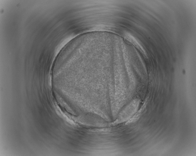 X0000076310900200610161616