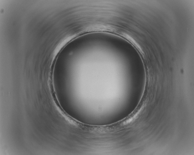 X0000076310901200610161616