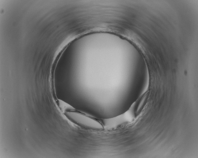 X0000076310902200610161616