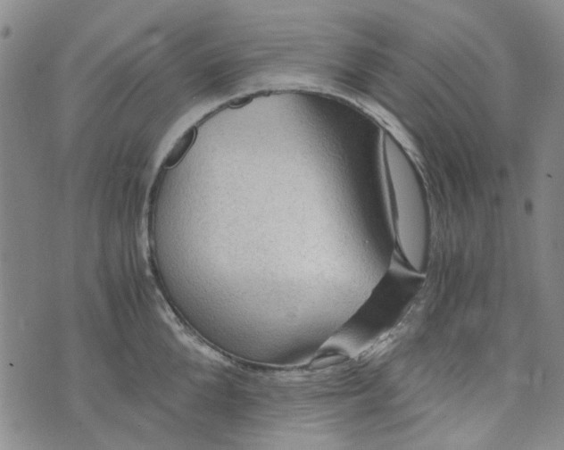 X0000076310904200610161616