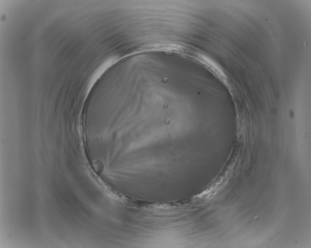 X0000076310907200610161615