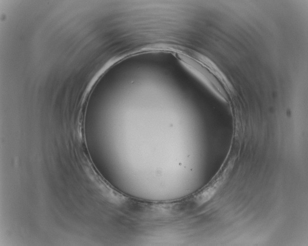 X0000076310908200610161615