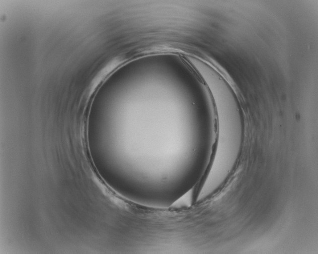 X0000076310909200610161615