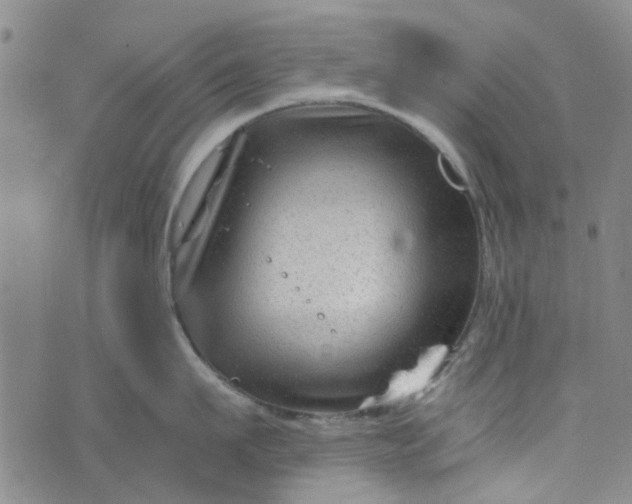 X0000076310911200610161615