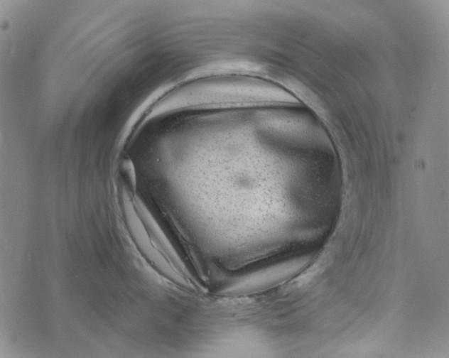 X0000076310912200610161615