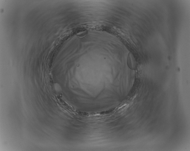 X0000076310913200610161615