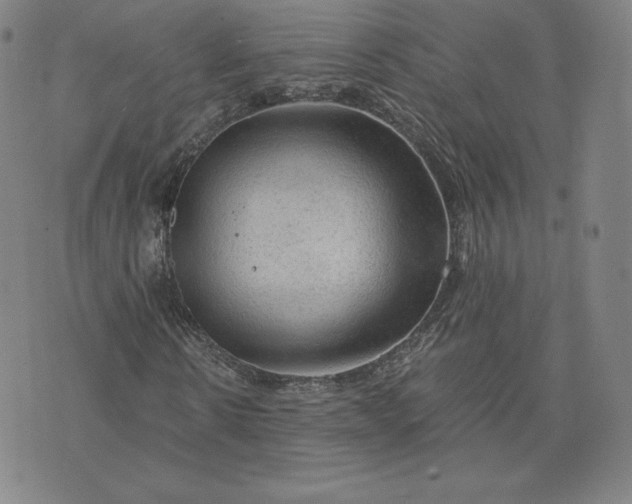 X0000076310914200610161615