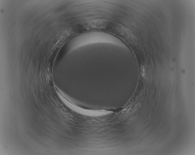 X0000076310915200610161615