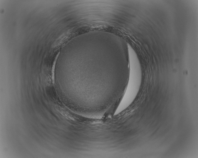 X0000076310916200610161615