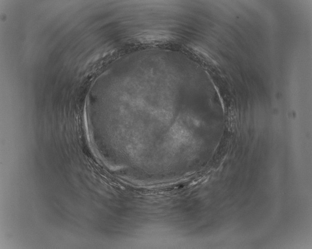 X0000076310917200610161615