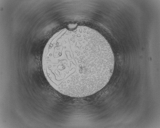 X0000076310918200610161615