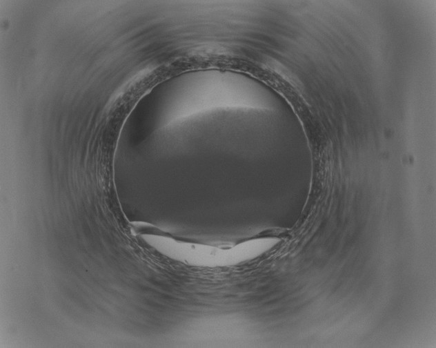 X0000076310919200610161615