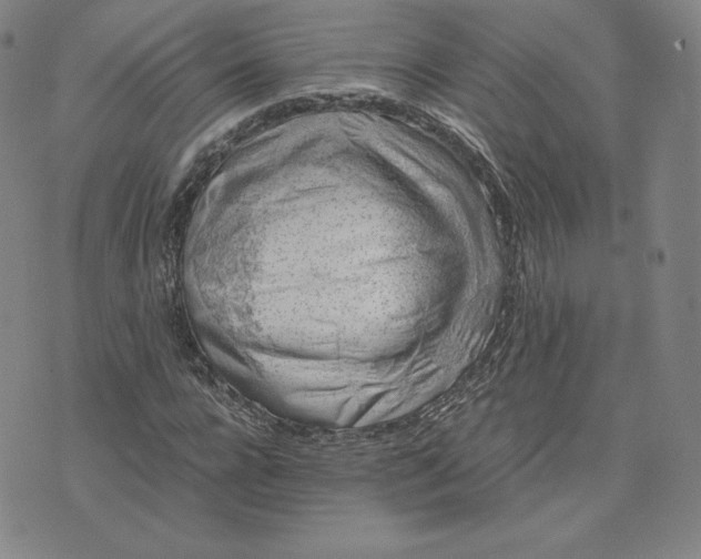 X0000076310920200610161615