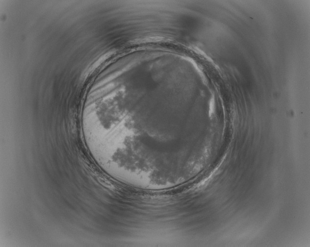 X0000076310921200610161615